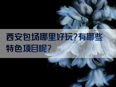 西安包场哪里好玩？有哪些特色项目呢？