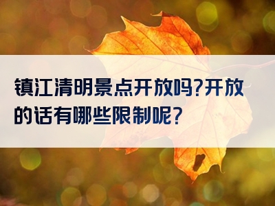 镇江清明景点开放吗？开放的话有哪些限制呢？