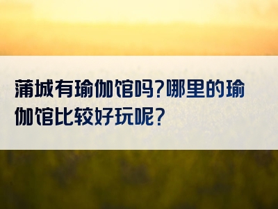 蒲城有瑜伽馆吗？哪里的瑜伽馆比较好玩呢？