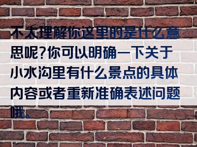 不太理解你这里的是什么意思呢？你可以明确一下关于小水沟里有什么景点的具体内容或者重新准确表述问题哦。