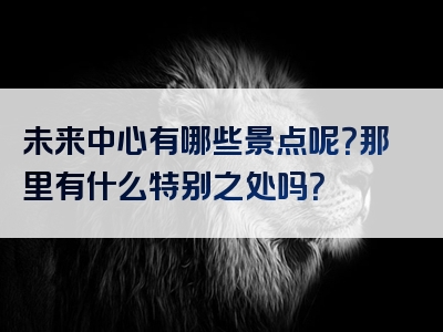 未来中心有哪些景点呢？那里有什么特别之处吗？