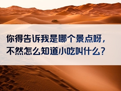 你得告诉我是哪个景点呀，不然怎么知道小吃叫什么？