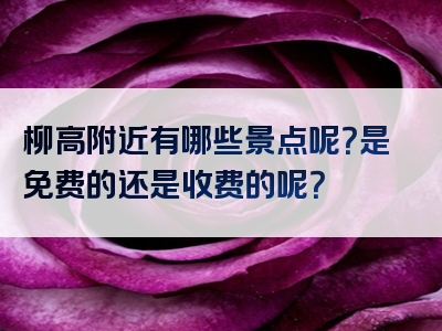 柳高附近有哪些景点呢？是免费的还是收费的呢？