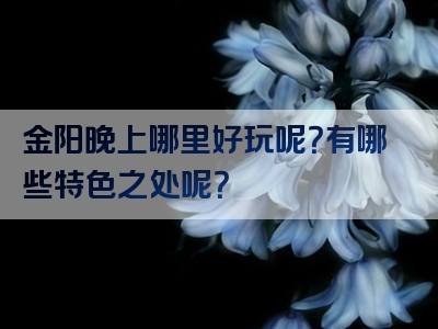 金阳晚上哪里好玩呢？有哪些特色之处呢？