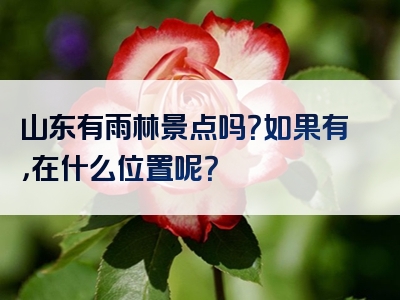 山东有雨林景点吗？如果有，在什么位置呢？