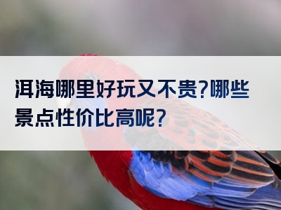 洱海哪里好玩又不贵？哪些景点性价比高呢？