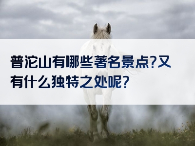 普沱山有哪些著名景点？又有什么独特之处呢？