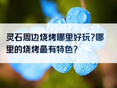 灵石周边烧烤哪里好玩？哪里的烧烤最有特色？