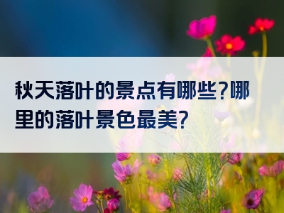 秋天落叶的景点有哪些？哪里的落叶景色最美？