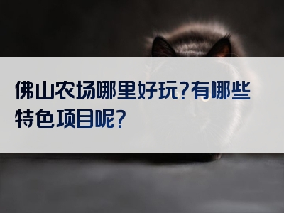 佛山农场哪里好玩？有哪些特色项目呢？