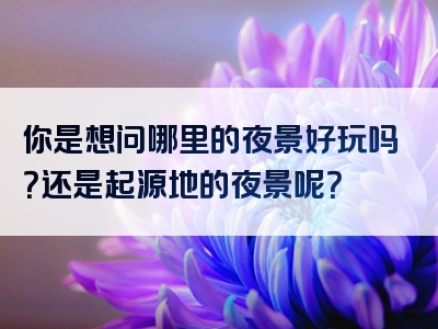 你是想问哪里的夜景好玩吗？还是起源地的夜景呢？