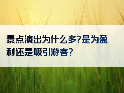 景点演出为什么多？是为盈利还是吸引游客？