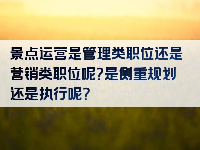 景点运营是管理类职位还是营销类职位呢？是侧重规划还是执行呢？