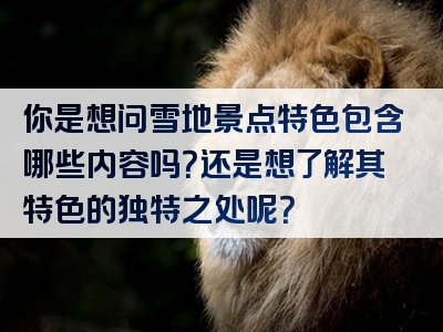 你是想问雪地景点特色包含哪些内容吗？还是想了解其特色的独特之处呢？