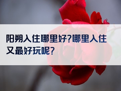 阳朔入住哪里好？哪里入住又最好玩呢？