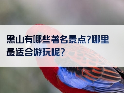 黑山有哪些著名景点？哪里最适合游玩呢？