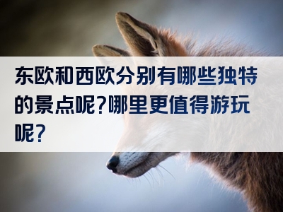 东欧和西欧分别有哪些独特的景点呢？哪里更值得游玩呢？