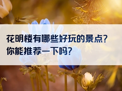 花明楼有哪些好玩的景点？你能推荐一下吗？