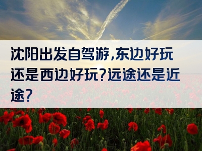 沈阳出发自驾游，东边好玩还是西边好玩？远途还是近途？