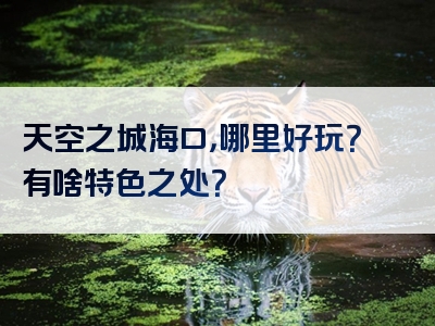 天空之城海口，哪里好玩？有啥特色之处？