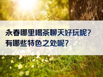 永春哪里喝茶聊天好玩呢？有哪些特色之处呢？