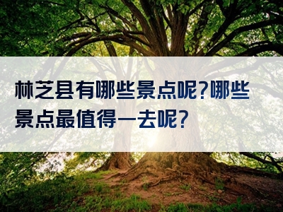 林芝县有哪些景点呢？哪些景点最值得一去呢？