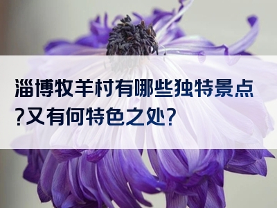 淄博牧羊村有哪些独特景点？又有何特色之处？