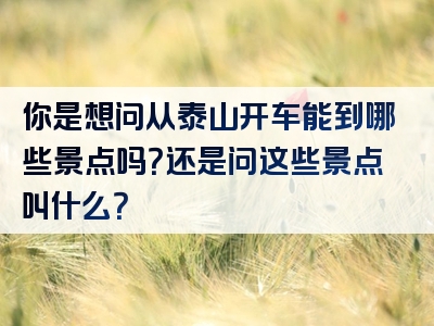 你是想问从泰山开车能到哪些景点吗？还是问这些景点叫什么？