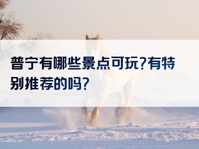 普宁有哪些景点可玩？有特别推荐的吗？