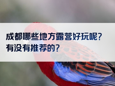 成都哪些地方露营好玩呢？有没有推荐的？