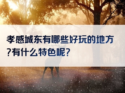 孝感城东有哪些好玩的地方？有什么特色呢？