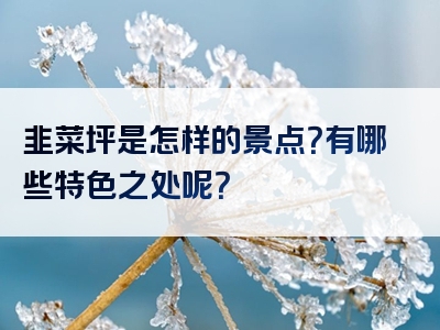 韭菜坪是怎样的景点？有哪些特色之处呢？