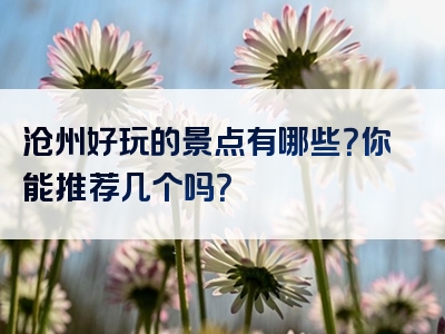 沧州好玩的景点有哪些？你能推荐几个吗？