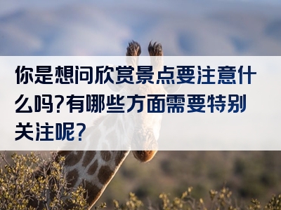 你是想问欣赏景点要注意什么吗？有哪些方面需要特别关注呢？