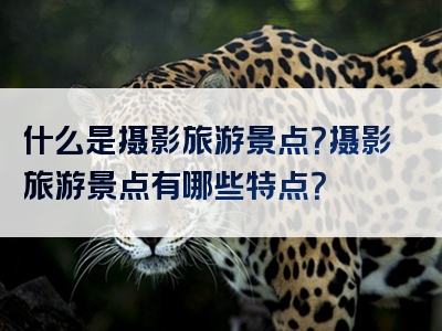 什么是摄影旅游景点？摄影旅游景点有哪些特点？