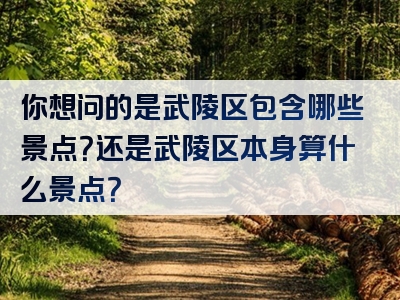 你想问的是武陵区包含哪些景点？还是武陵区本身算什么景点？