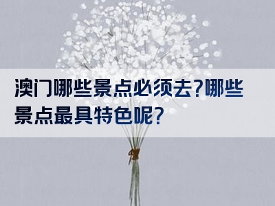 澳门哪些景点必须去？哪些景点最具特色呢？