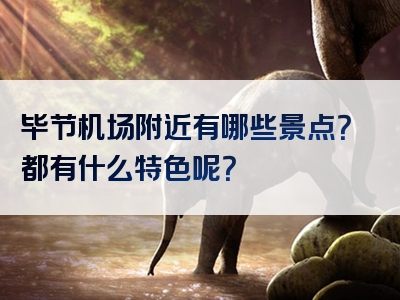 毕节机场附近有哪些景点？都有什么特色呢？