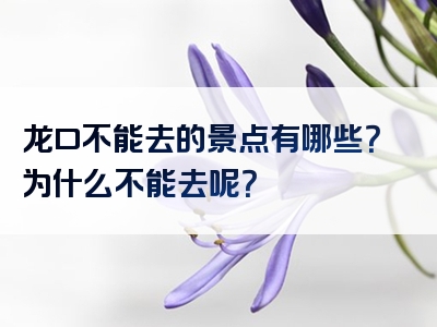 龙口不能去的景点有哪些？为什么不能去呢？