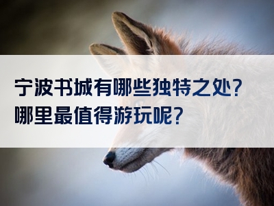 宁波书城有哪些独特之处？哪里最值得游玩呢？