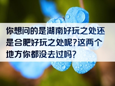 你想问的是湖南好玩之处还是合肥好玩之处呢？这两个地方你都没去过吗？