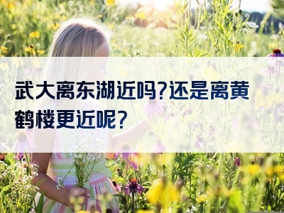 武大离东湖近吗？还是离黄鹤楼更近呢？