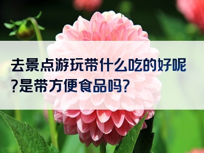 去景点游玩带什么吃的好呢？是带方便食品吗？