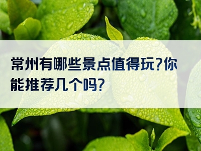 常州有哪些景点值得玩？你能推荐几个吗？