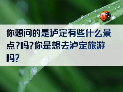 你想问的是泸定有些什么景点？吗？你是想去泸定旅游吗？