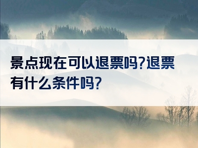 景点现在可以退票吗？退票有什么条件吗？