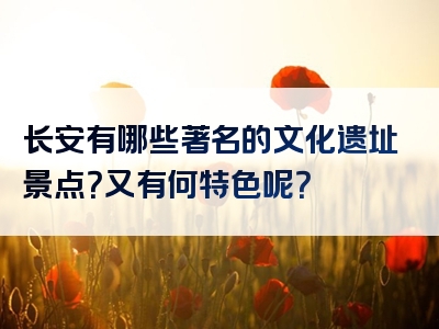 长安有哪些著名的文化遗址景点？又有何特色呢？