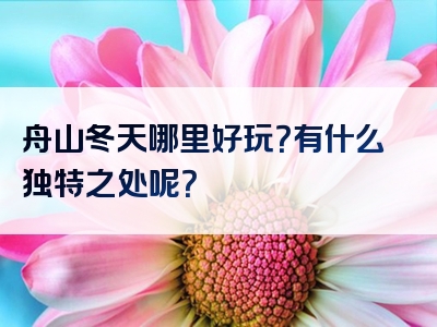 舟山冬天哪里好玩？有什么独特之处呢？