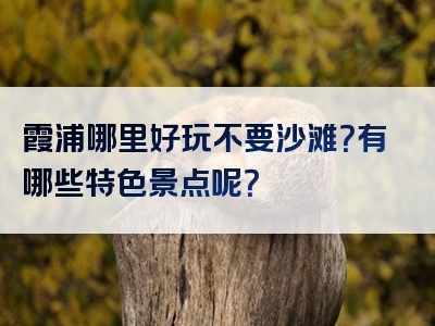 霞浦哪里好玩不要沙滩？有哪些特色景点呢？