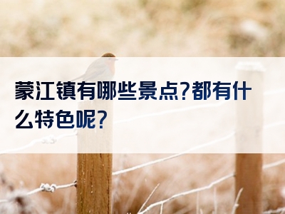 蒙江镇有哪些景点？都有什么特色呢？